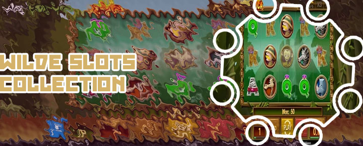 Wild slots